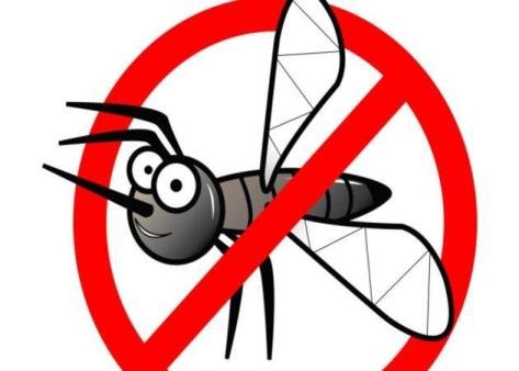 Οδηγίες για μέτρα πρόληψης και προστασίας από τα κουνούπια από την Περιφέρεια Θεσσαλίας