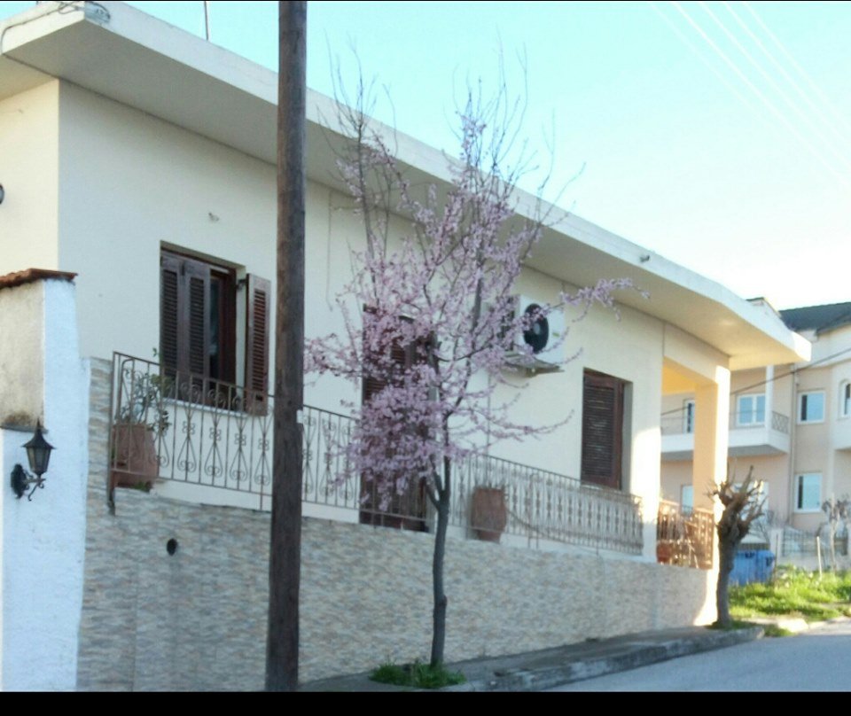 Ενοικιάζεται μονοκατοικία στο Βελεστίνο