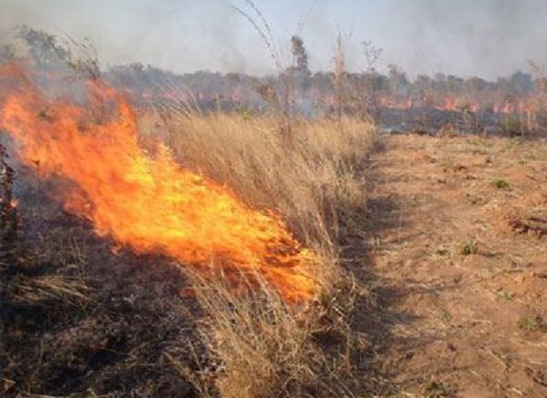 Πυρκαγιά σε υπολείμματα καλλιεργειών την Κυριακή στον Ριζόμυλο