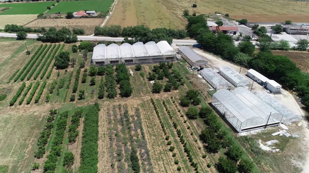 Αγρο-βολταϊκά εγκαθιστά το Πανεπιστήμιο Θεσσαλίας       