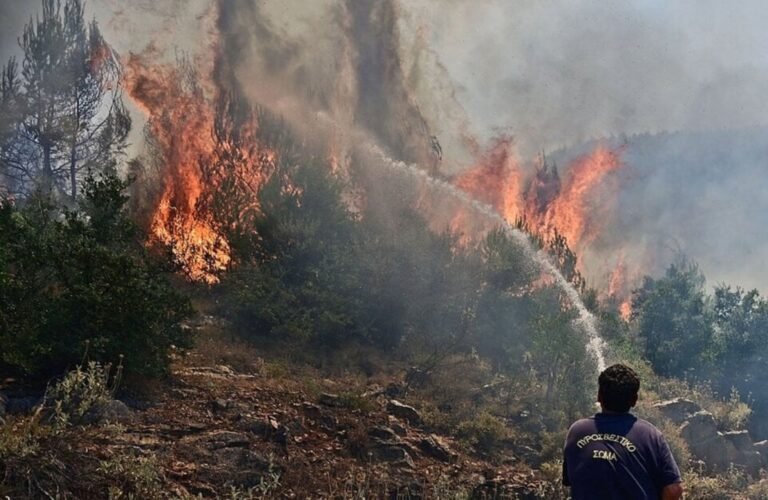 Εισαγγελέας για τις φωτιές στη Μαγνησία-Έρευνα για οργανωμένο σχέδιο εμπρησμών