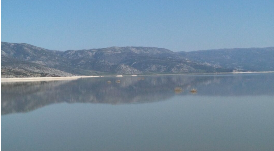 Περιβαλλοντική Πρωτοβουλία Μαγνησίας: Η Περιφέρεια Θεσσαλίας αδιαφορεί για την Κάρλα