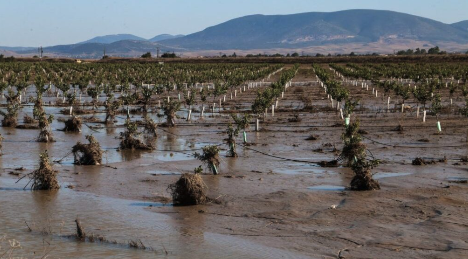 ΠΑΚ Θεσσαλίας: Μπάχαλο με τις επιδοτήσεις των αγροτών και τις ενισχύσεις των πλημμυροπαθών