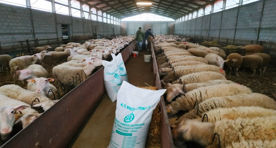 Απλήρωτοι 1 στους 3 κτηνοτρόφοι στη Μαγνησία