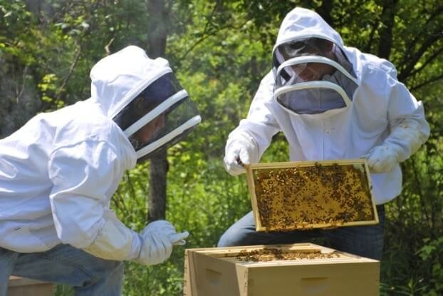 Ενημέρωση Στοιχείων Μητρώου (IBAN) από μελισσοκόμους για τη χρηματοδοτική στήριξη έκτακτης ανάγκης