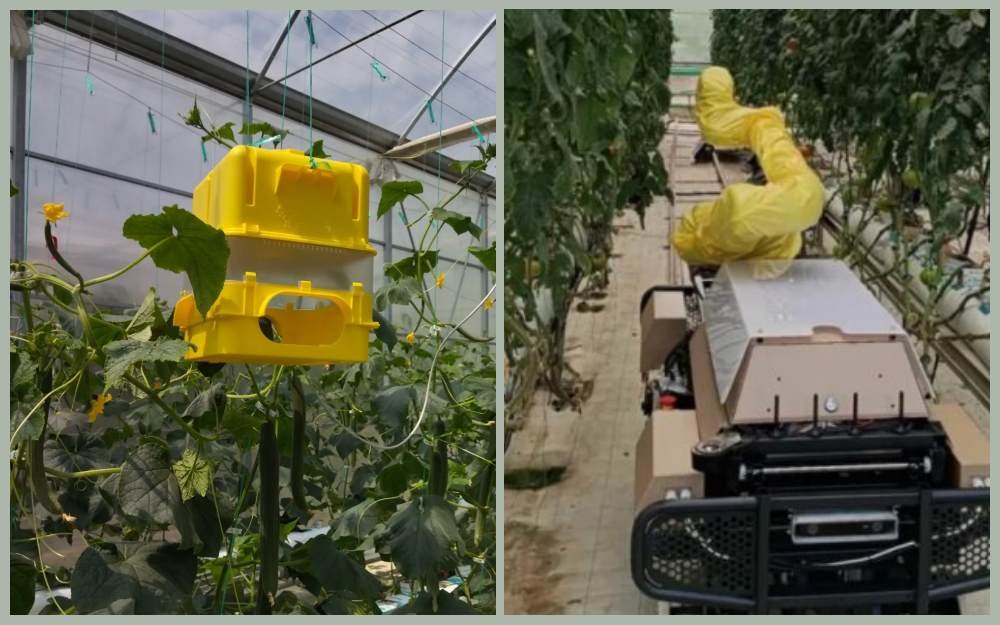 Πανεπιστήμιο Θεσσαλίας: Ρομπότ και AI στα θερμοκήπια για έλεγχο εντόμων και ασθενειών