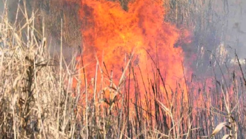 Φωτιά σε ξερά χόρτα και πουρνάρια στην ΒΙ.ΠΕ Βόλου αντιμετωπίστηκε από την Πυροσβεστική