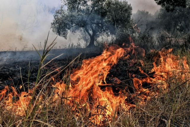 Φωτιά σε ξερά χόρτα στο Διμήνι