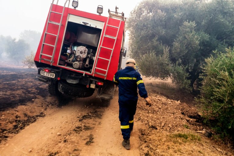 Πολύ υψηλός κίνδυνος πυρκαγιάς την Τρίτη και στην Μαγνησία 