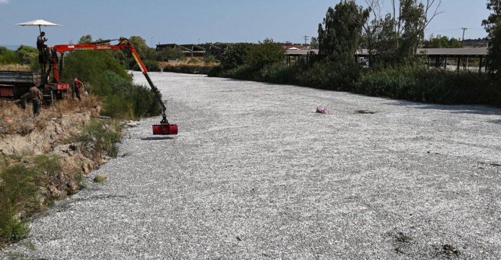 Θέμα στα διεθνή ΜΜΕ η υπόθεση με τα νεκρά ψάρια