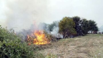 Ριζόμυλος: Φωτιά έκαψε υπολείμματα καλλιεργειών 