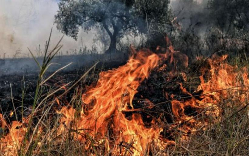 Φωτιά έκαψε υπολείμματα καλλιεργειών στον Ριζόμυλο