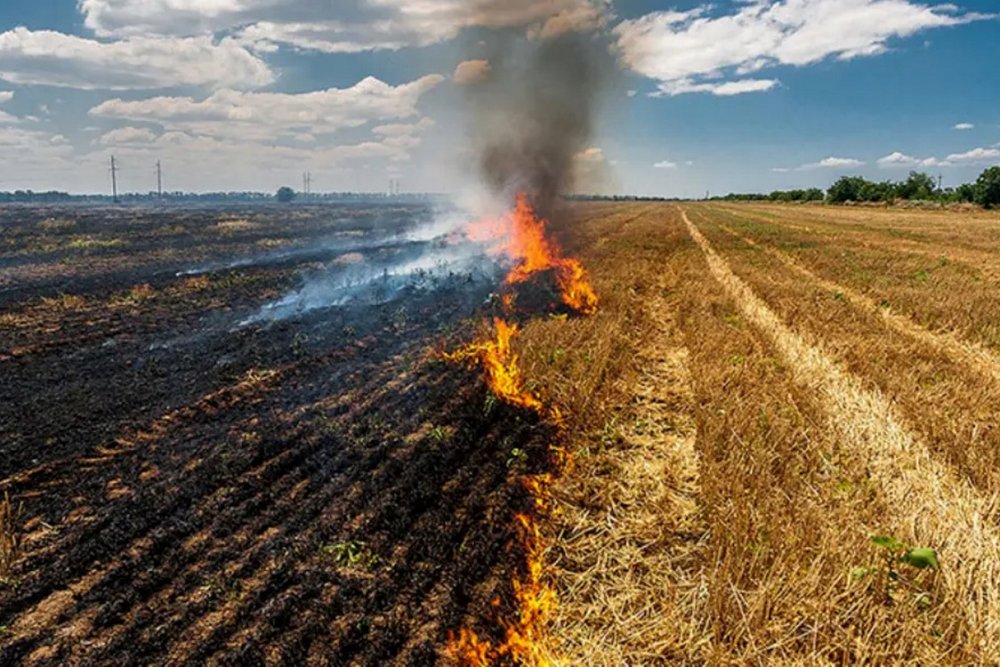 Πρόστιμο 1.562 ευρώ για καύση υπολειμμάτων καλλιεργειών σε υπαίθριο χώρο