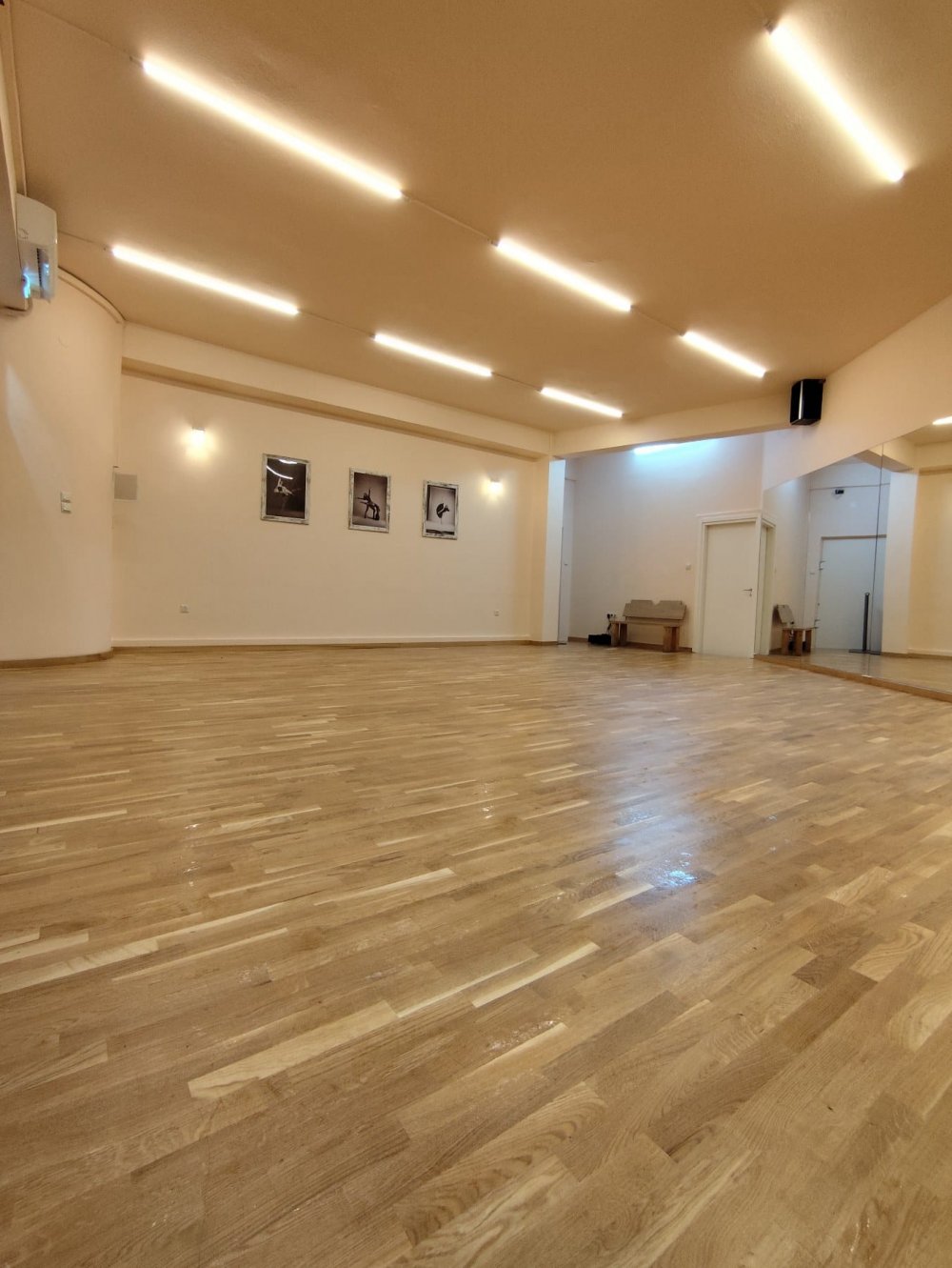 Alkistis Dance Center - Δείτε τη νέα σχολή χορού που θα λειτουργεί στο Βελεστίνο