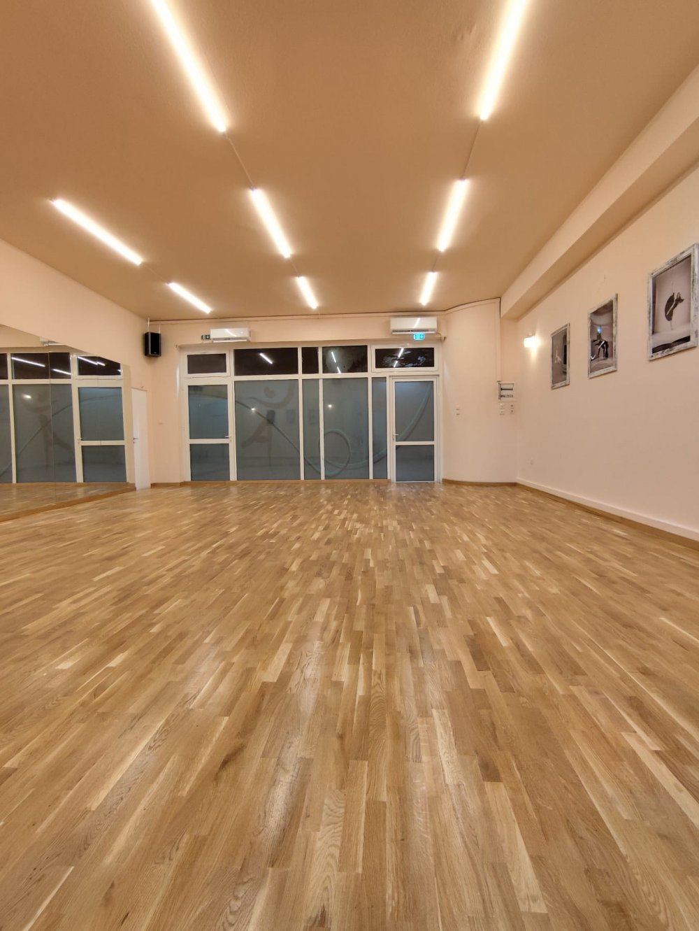 Alkistis Dance Center - Δείτε τη νέα σχολή χορού που θα λειτουργεί στο Βελεστίνο