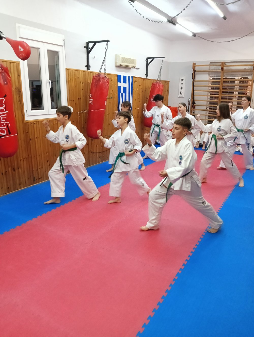 Α.Σ TAEKWON-DO I.T.F Ωρίων Βελεστίνου - Προαγωγικές εξετάσεις ζωνών