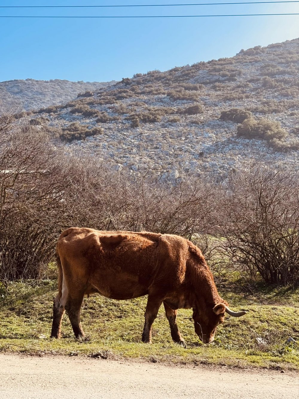 Στην Κάρλα