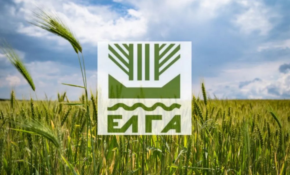 ΕΛΓΑ: Ενημέρωση για δηλώσεις ζημιάς από τις πλημμύρες