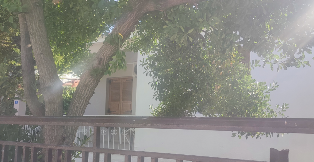 Βελεστίνο: Πωλείται μονοκατοικία σε οικόπεδο 179 τ.μ.