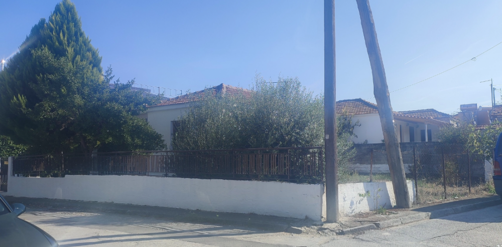 Βελεστίνο: Πωλείται μονοκατοικία σε οικόπεδο 179 τ.μ.