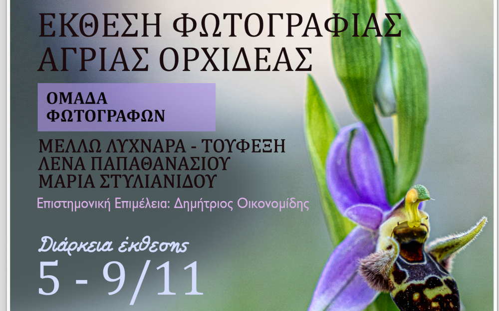 Σύλλογος Κερασιωτών: Έκθεση Φωτογραφίας με θέμα τις Άγριες Ορχιδέες και Παρουσίαση Ημερολογίου