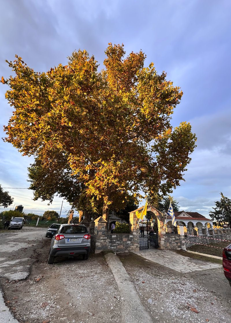 Με Λαμπρότητα οι Εορτασμοί στο Εξωκκλήσι των Αγίων Μηνά, Βίκτωρος και Βικεντίου στο Βελεστίνο