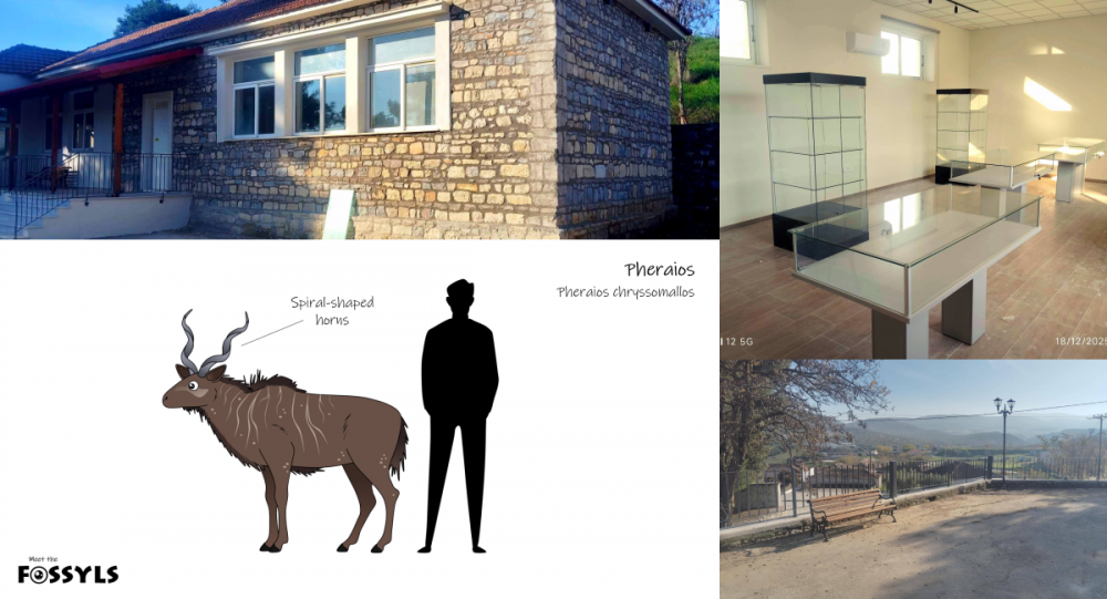 Μικρό Περιβολάκι: Ολοκληρώθηκαν οι εργασίες στο Μουσείο Φυσικής Ιστορίας (εικόνες)