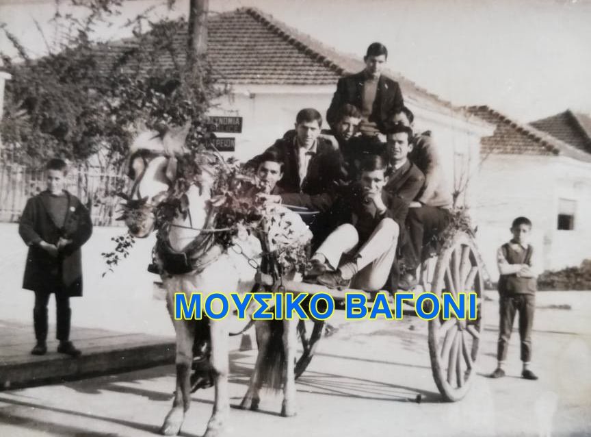 Μαζεύοντας δάφνες για τα στεφάνια της 25ης Μαρτίου