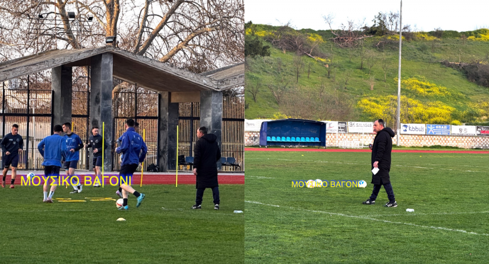 Πρώτη Ανδρουτσόπουλου