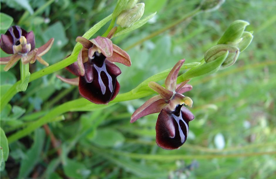 Επιστολή για την αδράνεια της περιοχής μας πάνω στον εναλλακτικό τουρισμό