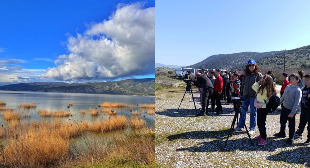 Μαθητές των Φαρσάλων "ξεναγήθηκαν" στην οικολογική αξία της Κάρλας