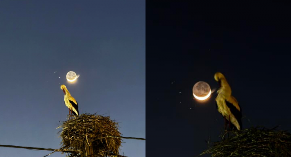 Ο πελαργός του Βελεστίνου και το Φεγγάρι
