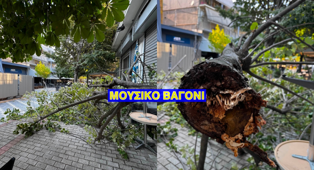 Ευτυχώς δεν χτύπησε κανείς