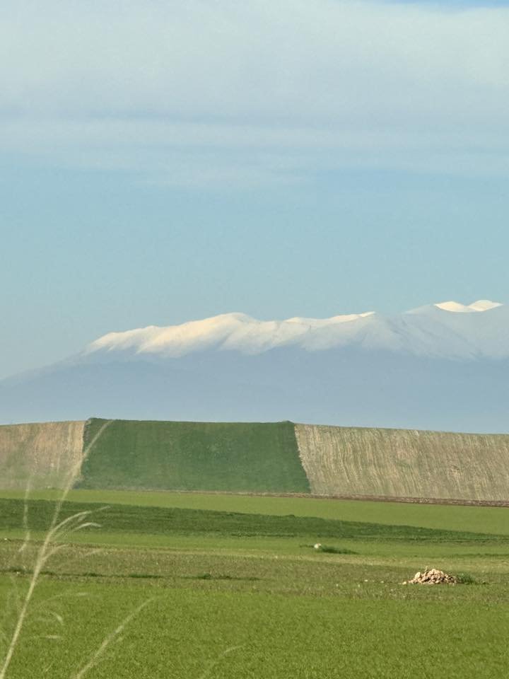 Ο  χιονισμένος Ολύμπος από τους αγρούς της περιοχής μας 