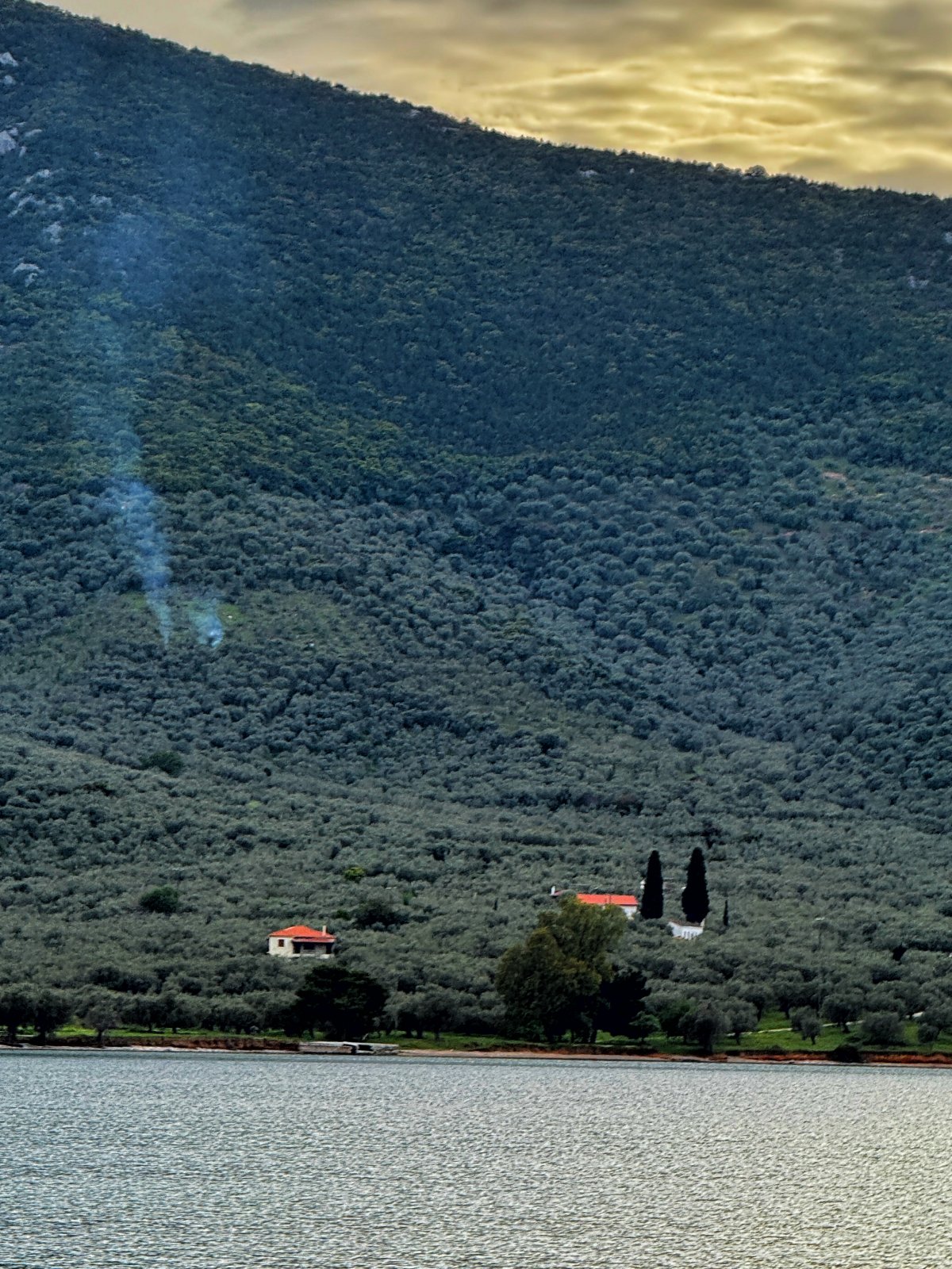 Νηές Μαγνησίας