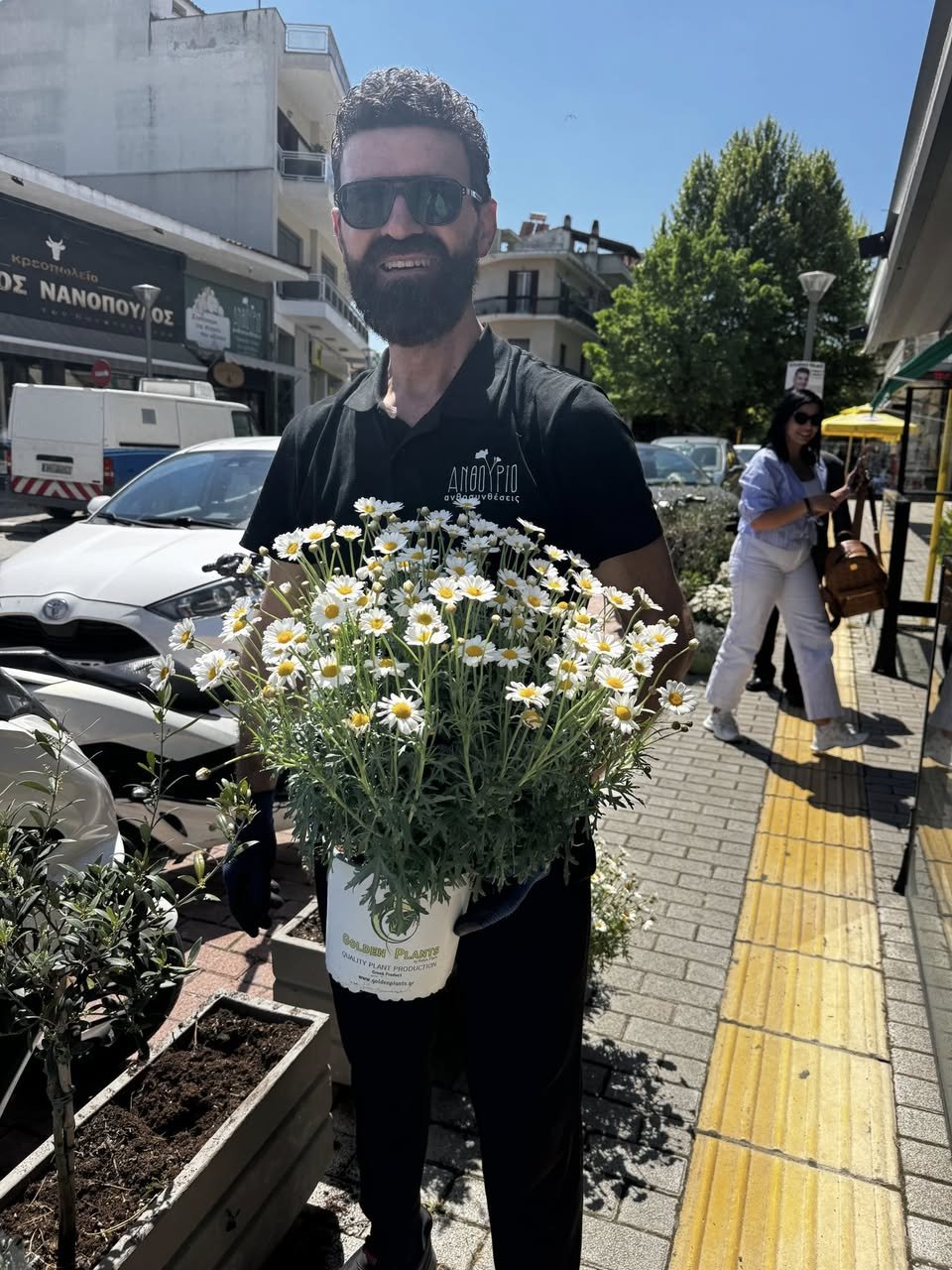 Γεμίζει με μαργαρίτες η κεντρική οδός ο Ρήγα Φεραίου