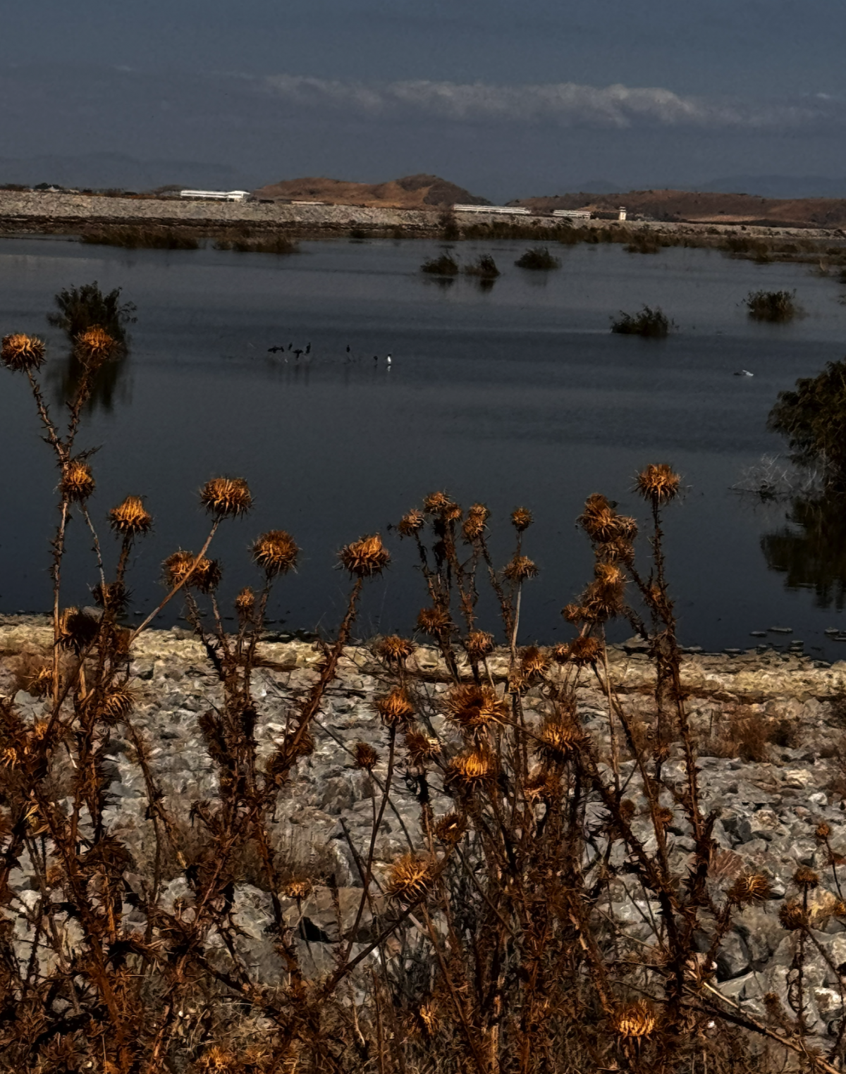 Η λίμνη Κάρλα