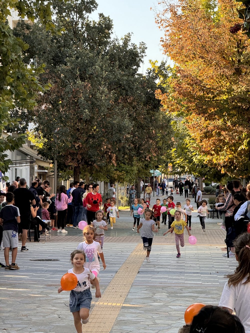 Ο Ρήγειος Δρόμος σε εικόνες (Α΄μέρος)