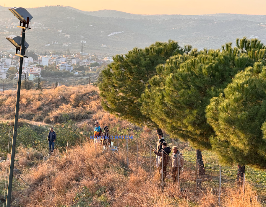 Αγία Παρασκευή - Ρήγας Φεραίος 0-5