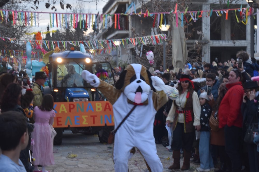 Εικόνες από το Καρναβάλι Βελεστίνου!