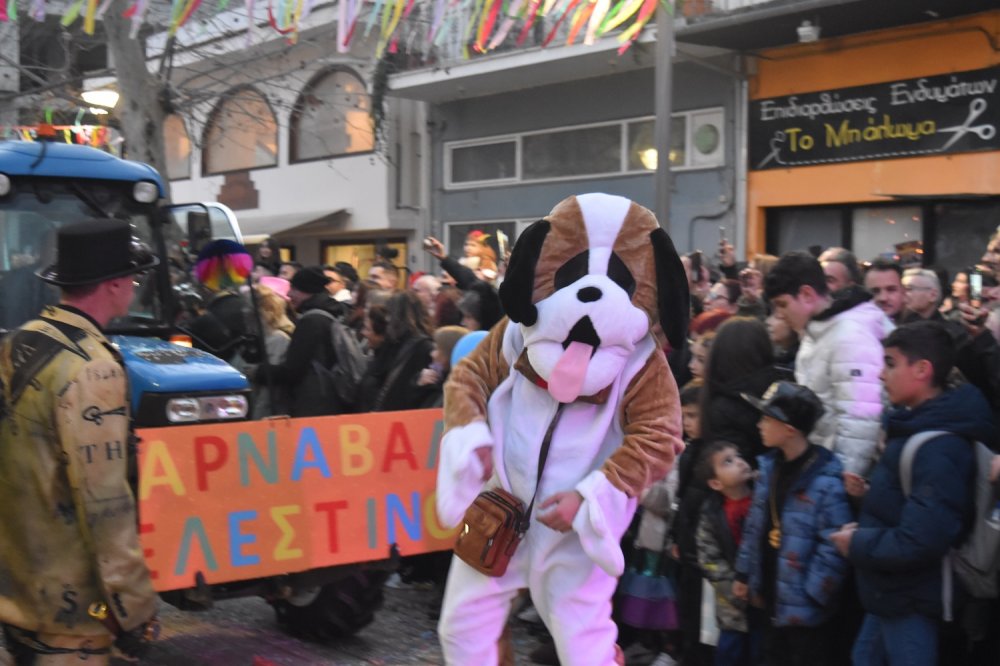 Εικόνες από το Καρναβάλι Βελεστίνου Μέρος 2ο!