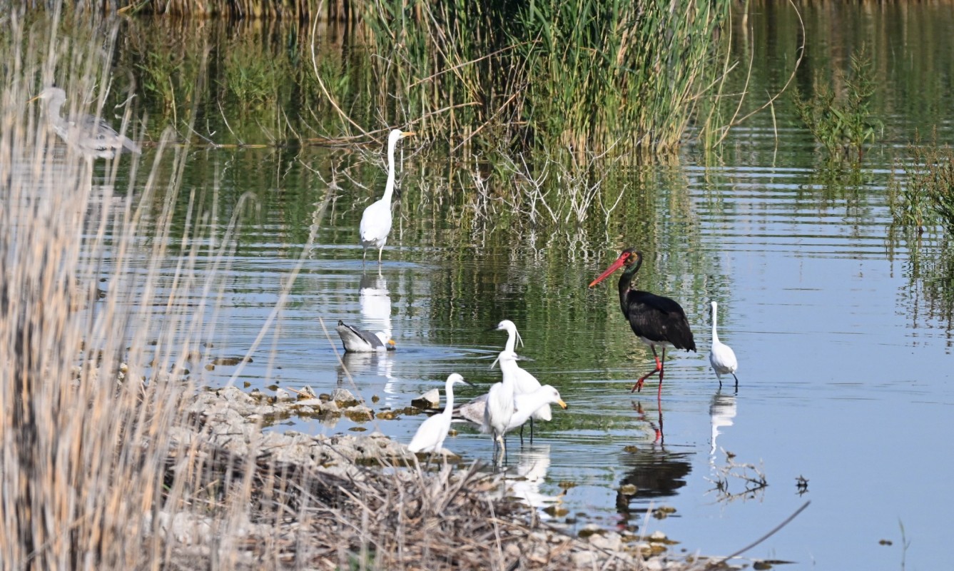 Φωτογραφία: Νίκος Λευκαδίτης
