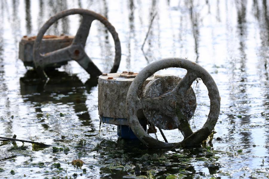 ΚΥΔΩΝΑΣ ΓΙΩΡΓΟΣ/ΙΝΤΙΜΕ