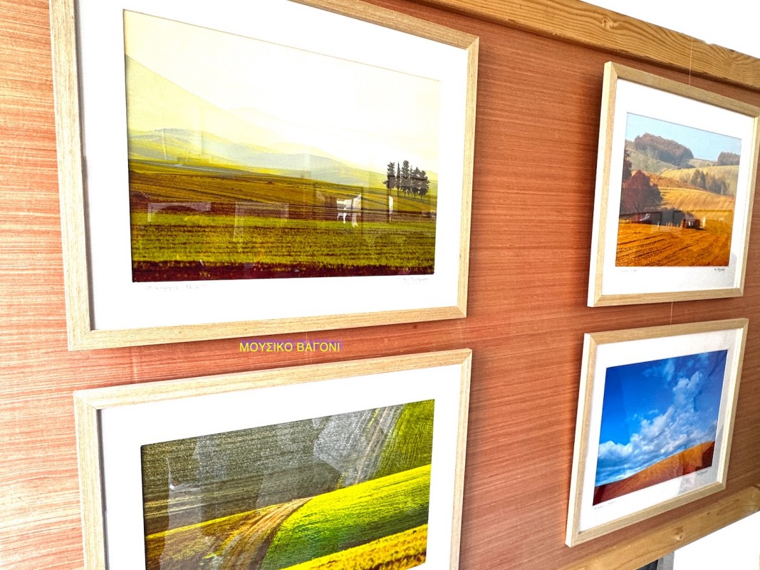 Η έκθεση των έγχρωμων φωτογραφικών έργων του Νίκου Μεταξιώτη εστιάζει στο τοπίο του κάμπου, και περιλαμβάνει 28 έργα που δημιουργήθηκαν κατά την περίοδο 2010- 2026.